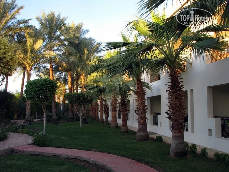 George experience. Johnson experience marketing история компании. George p. Ryan paris george aaron russian ladies. George homestay (ех.