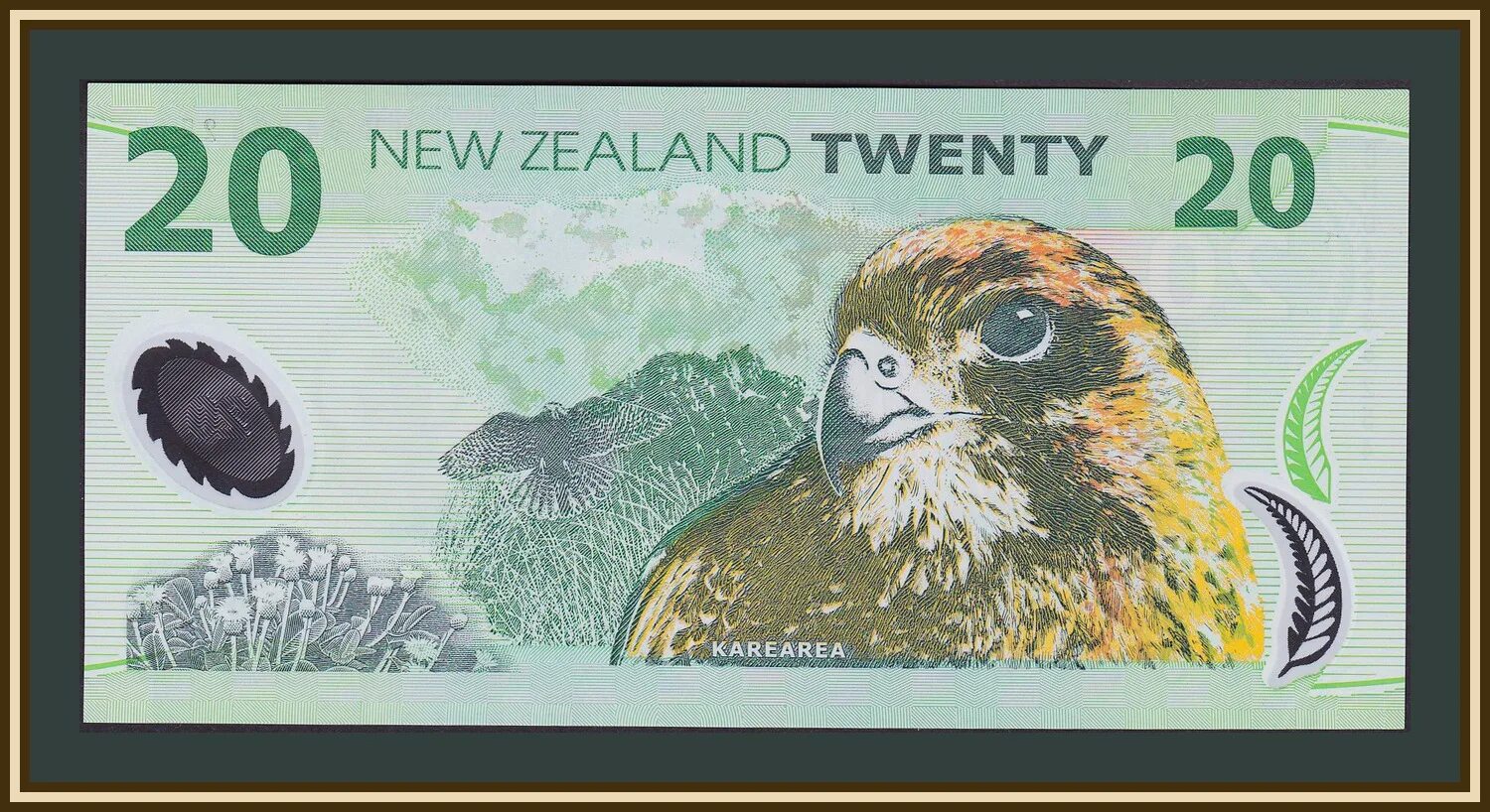 Доллар новая зеландия. Банкноты новой Зеландии. Новозеландский доллар. Новозеландские банкноты. Новозеландский доллар купюры.