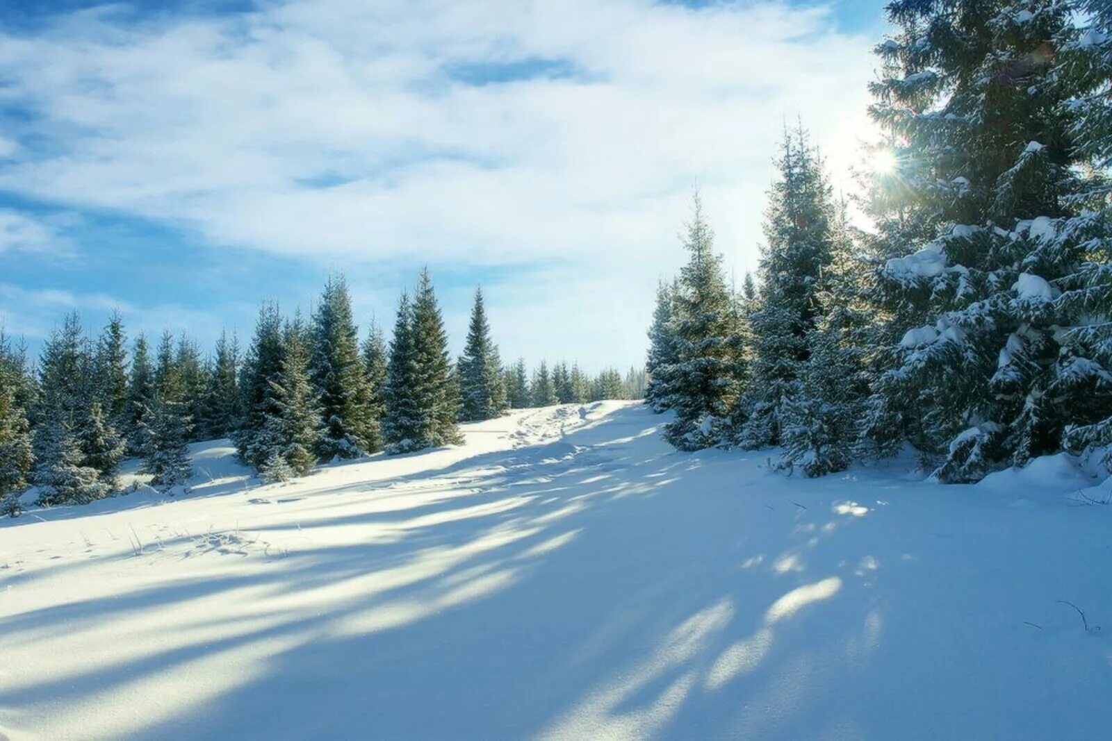 Зимний день. Февраль природа. Середина зимы. Февраль картинки. Полный месяц февраля