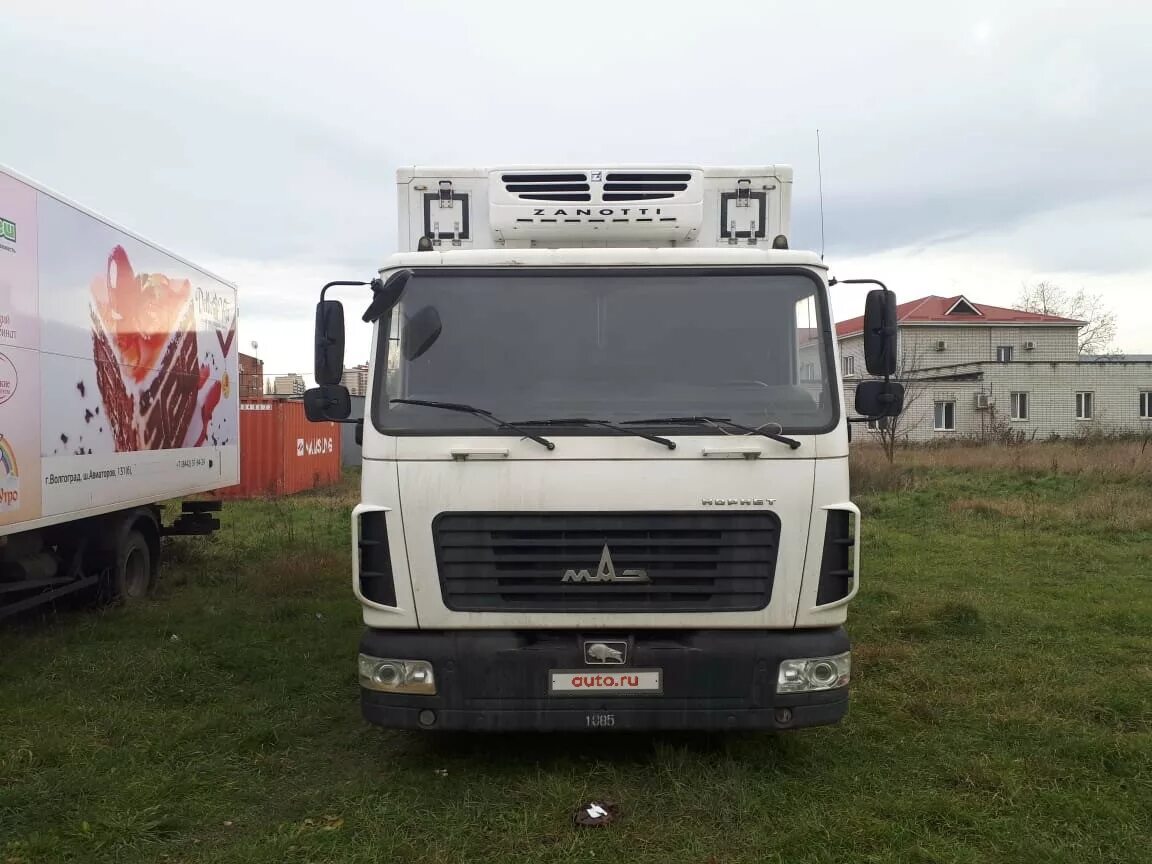 маз 4371 корнет. маз зубренок 4371 корнет.