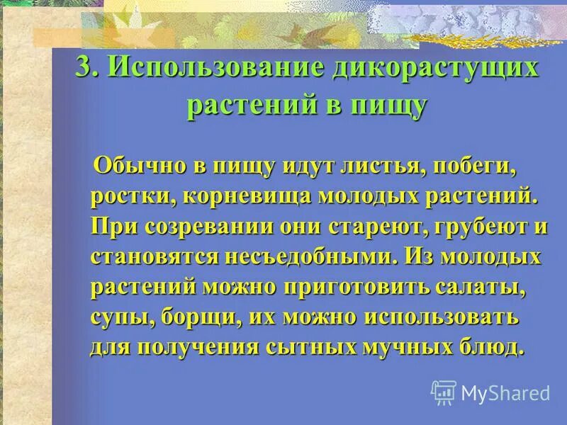 урока технология 6 класс дикорастущих растений. способы сушки лекарственного растительного сырья. сбор и сушка лрс. способы переработки сырья дикорастущих растений. переработка дикорастущих растений.