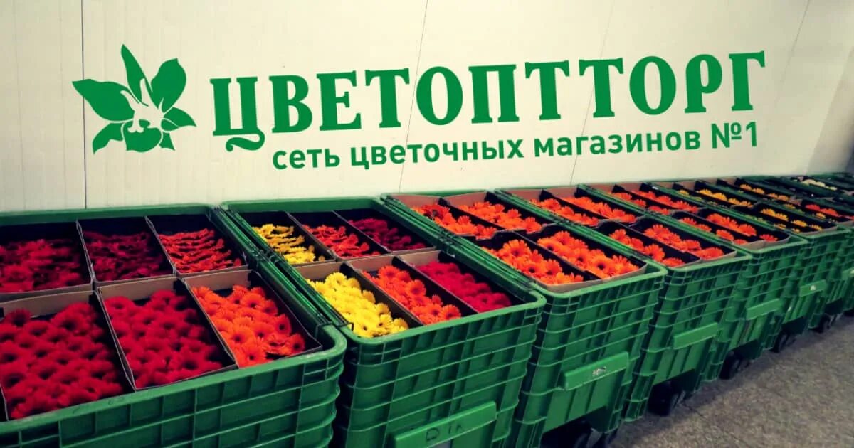 Склад цветоптторг. Цветы цветоптторг. Цветочная база СПБ. Цветочный склад опт