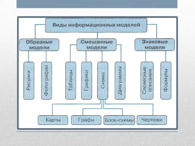 Моделирование и формализация информации. Моделирование и формализация информации