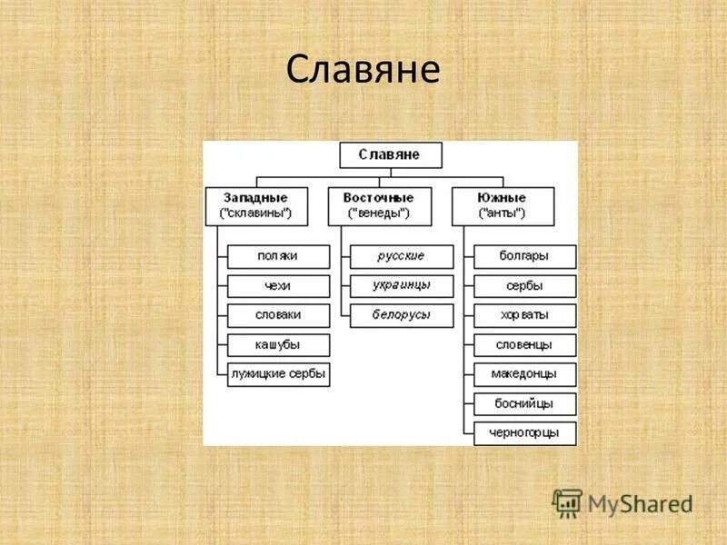 Поляки славяне или нет. Поляки славяне или нет