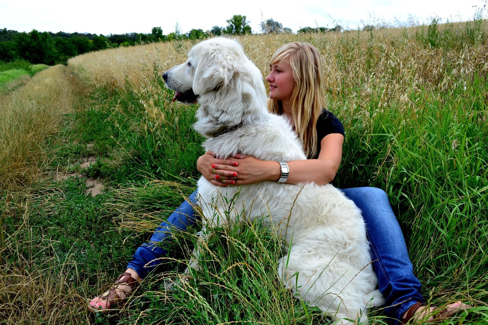 Woman 3 dog. Фотосессия с собакой. Женщина с собакой. Девушка и большая собака. Фотосессия с большой собакой.