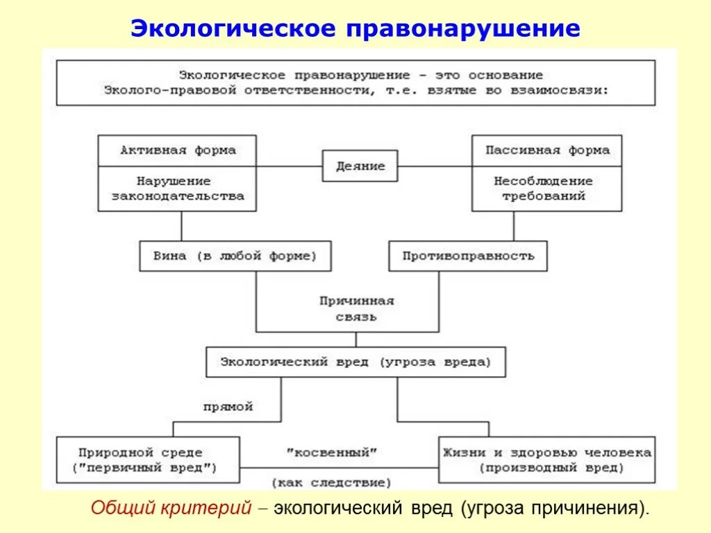 Экологические правонарушения законы. Ответственность по экологическому праву. Экологические правонарушения законы. Ответственность за экологические нарушения. Экологические правонарушения законы.