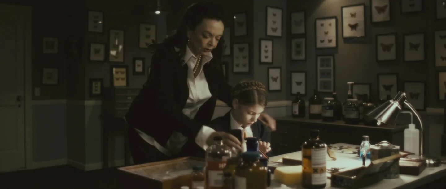 комната бабочек