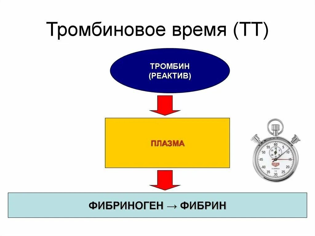 Тромбированное время норма. Тромбированное время норма. Тромбиновое время. Тромбиновое время. Тромбированное время норма.