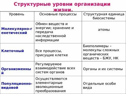 Ключевые уровни интернета