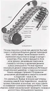 С какой скоростью движется эскалатор. Почему поручень эскалатора движется быстрее самого эскалатора. направление движения эскалатора. почему на эскалаторе перила двигаются быстрее. вдоль одной ступеньки движущегося эскалатора туда.