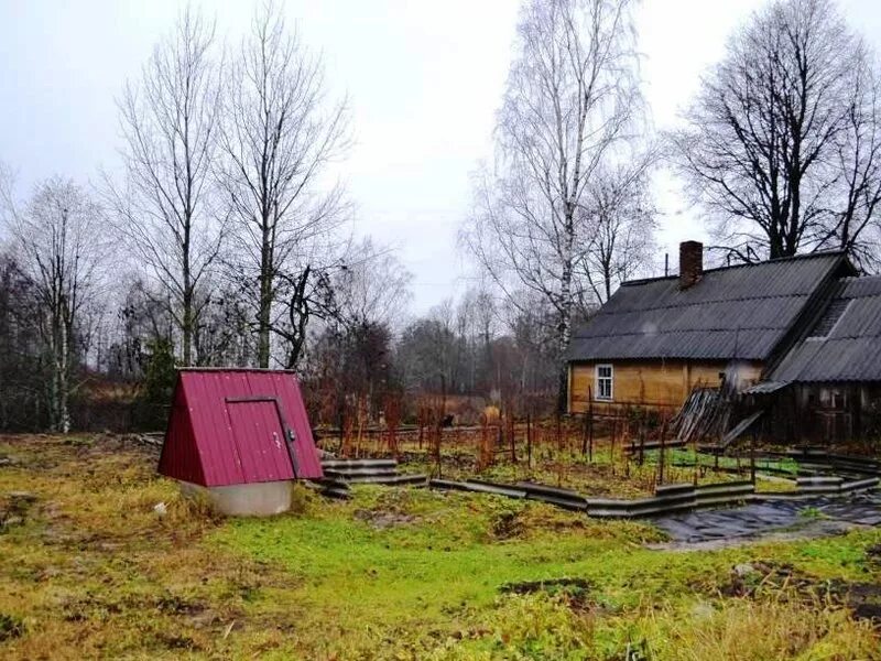 Дом гдов. Верхоляне Гдовский район. Деревня Блынки Псковская область. Деревня Колоколово Гдовский район. Блынки Гдовский район.