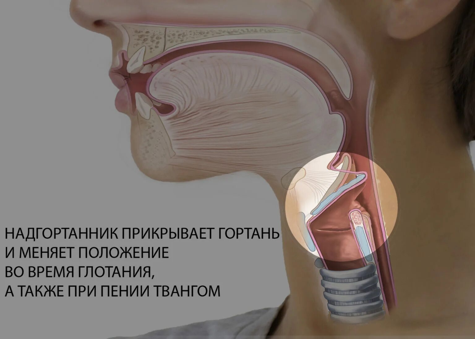 Плотный заметить