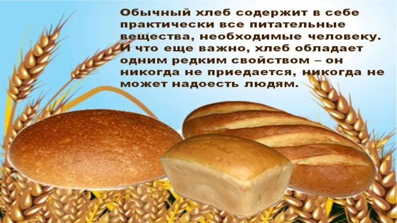 Хлеб всему голова информатика. Хлеб всему голова коллаж. хлеб всему голова презентация. хлеб всему голова для дошкольников. хлеб всему голова иллюстрация.