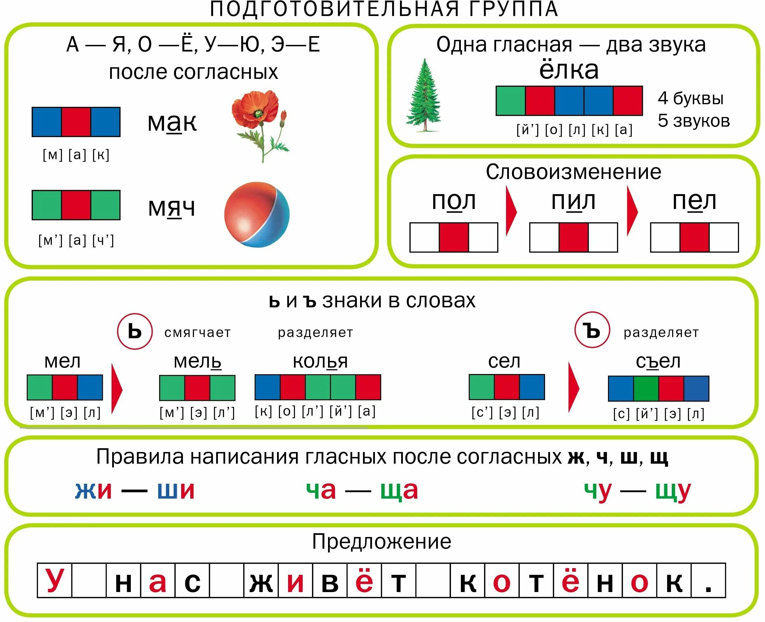 Сколько букв и звуков в слове елка