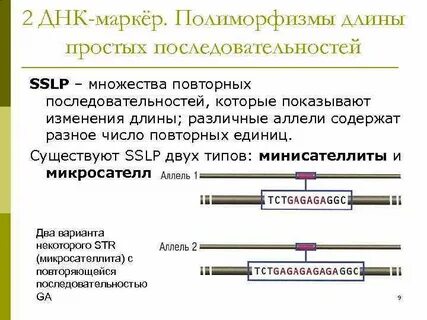 Метод генетических маркеров