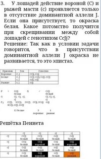 У лошадей действие генов вороной