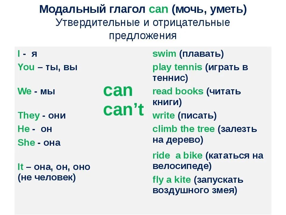 Составить предложения i can. Глагол can в английском языке 2 класс правило. Модальный глагол can can't в английском. Модальный глагол can в английском языке 3 класс. Глагол уметь мочь в английском языке.