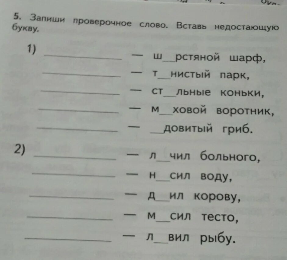 Проверочные слова. Запиши проверочные слова. Подбери проверочные слова. Зап ши проверочные слова. Вставь пропущенные буквы.. Вставить пропущенные буквы б или п