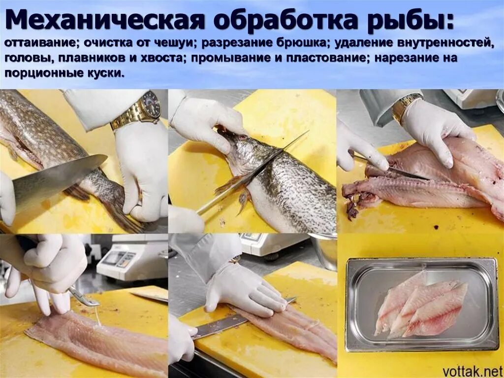 Нужно ли мыть филе