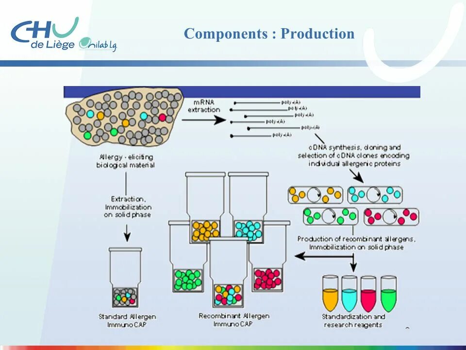 Product components. Иммунокап принцип метода. Аллергочип IMMUNOCAP. Аллергодиагностика методом IMMUNOCAP.. Аллергопробы иммунокап.