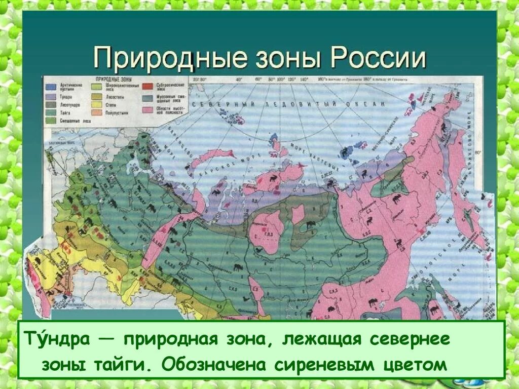 В какой природной зоне расположена свердловская. Зоны тундра Тайга. Карта природных зон. Карта природных зон России. Тундра на карте природных зон.