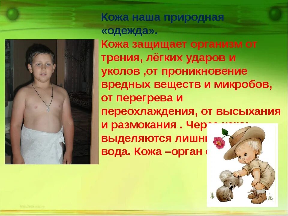 Кожа наша первая одежда