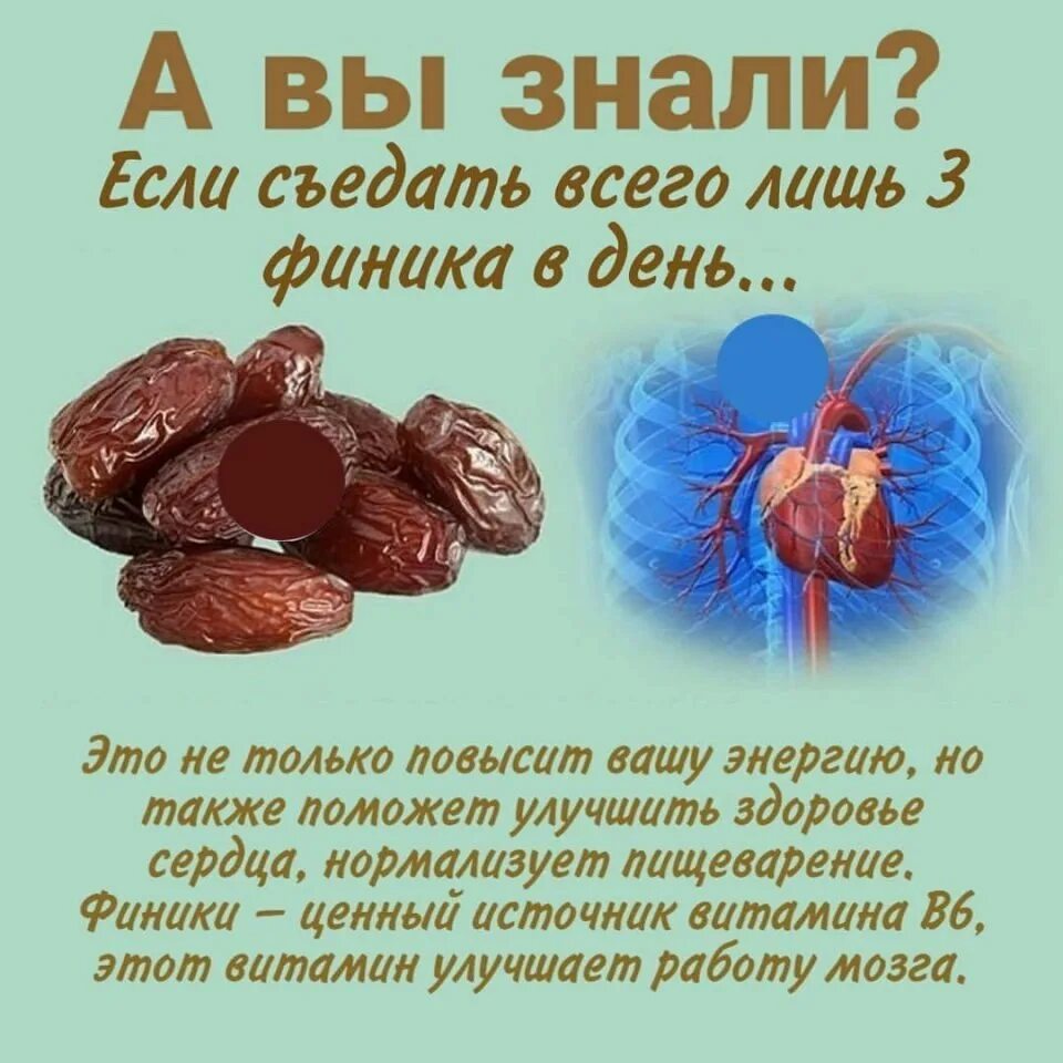 Сколько фиников в день можно при похудении