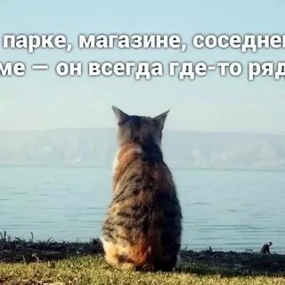 Ничего просто жду