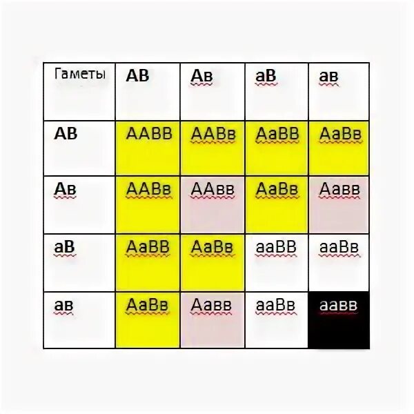 Генотип aabb типы гамет. Aabb гаметы. типы гамет у особи с генотипом aabb. какие гаметы образует особь с генотипом aabb. особь с генотипом аавв.