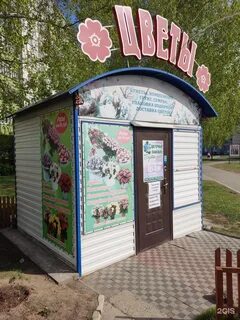 Здоровье новоалтайск