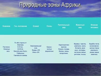 Таблица леса растения животные