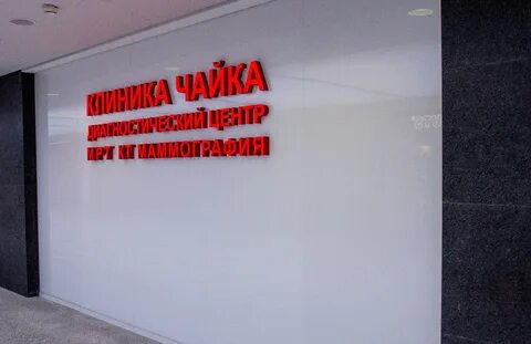 Чайка новая рига