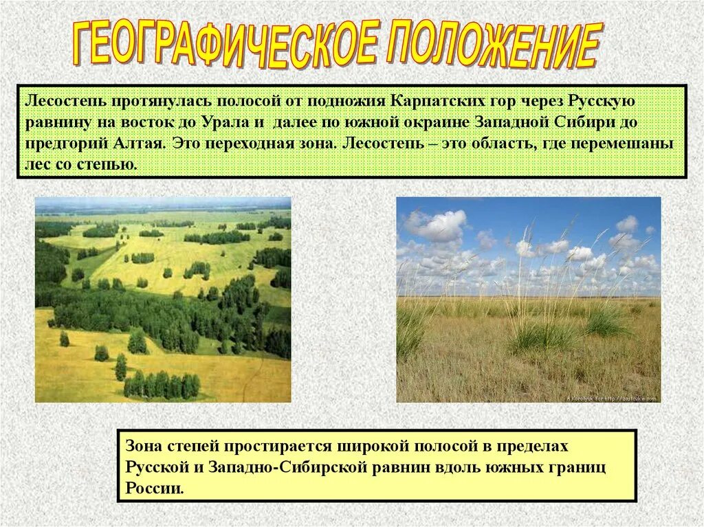 Лесостепь россии урок. Природные зоны России степи и лесостепи. Лесостепи и степи географическое положение. Лесостепь на карте России. Географическое расположение лесостепей и степей.