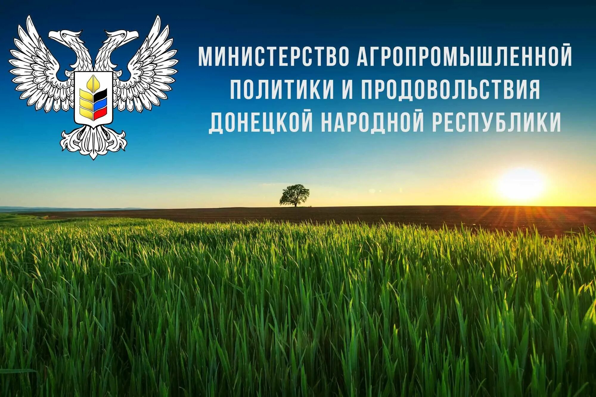 министерство сельского хозяйства. министерства агропромышленного комплекса и продовольствия. день поля липецк 2023. министерство агропромышленного комплекса свердловской области. шарапов апк министерство свердловской области.