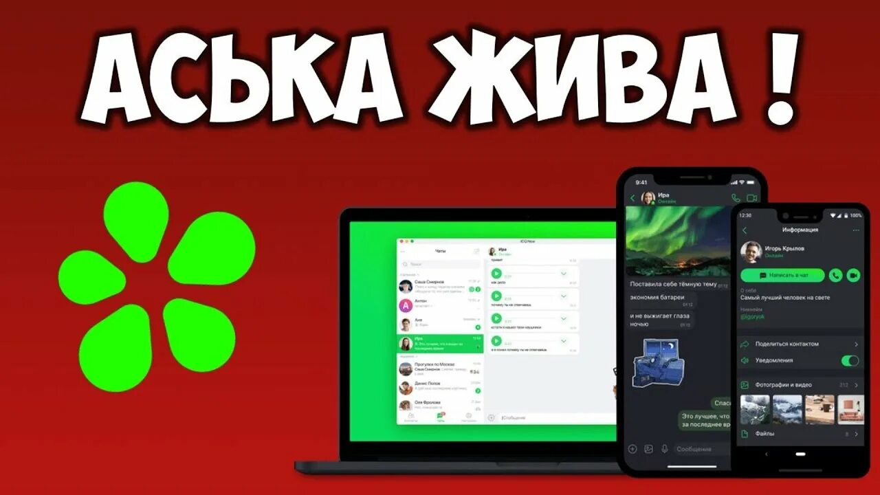 Аська веб. Аська мессенджер. Аська 2021. Мессенджер айсикью андроид. Мессенджер аська