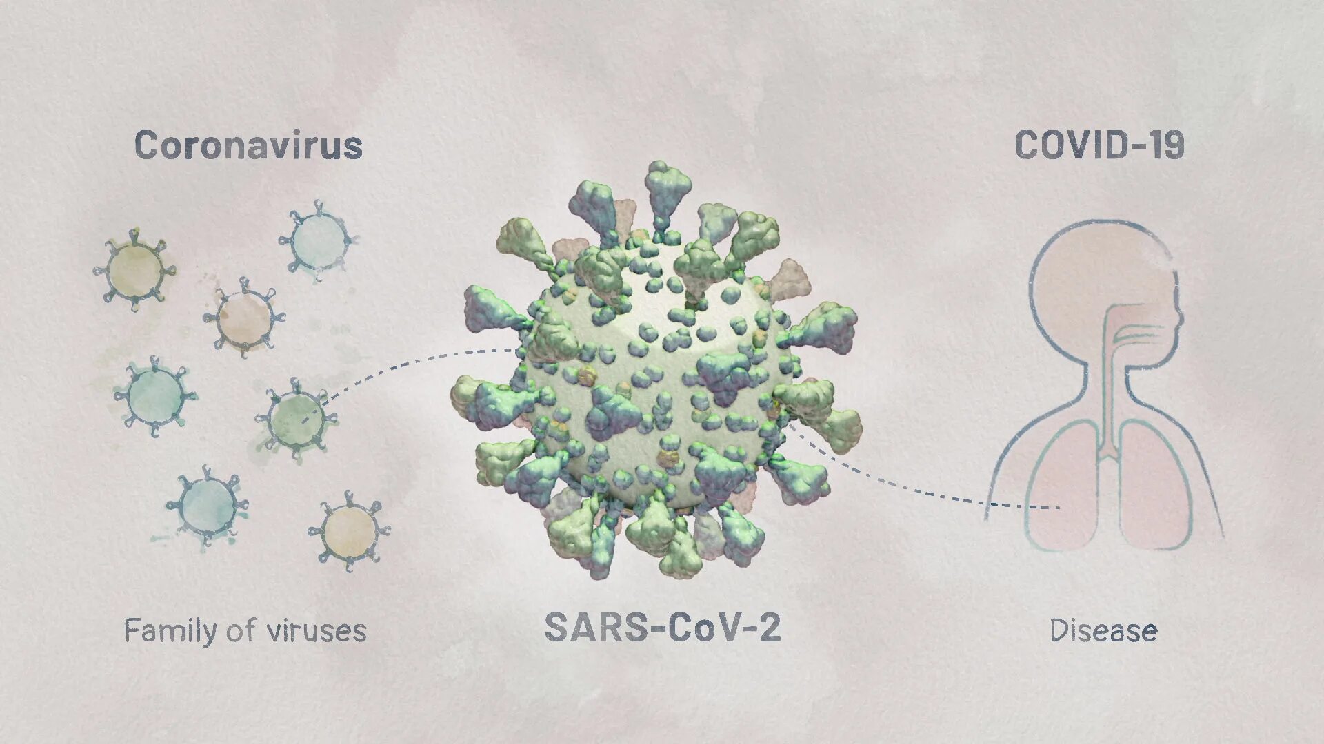 SARS-cov-2. Коронавирус SARS-cov-2. РНК Sarah-cov-2. Вирус Сарс Ков.