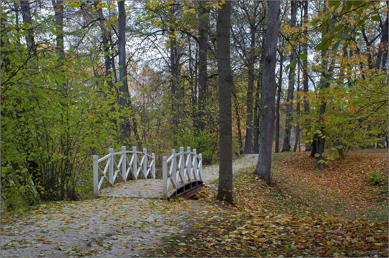 Дуб тургенева. Дуб Тургенева в Спасское Лутовиново. Спасское Лутовиново осень. Спасское Лутовиново парк. Спасское Лутовиново Спасский пруд.