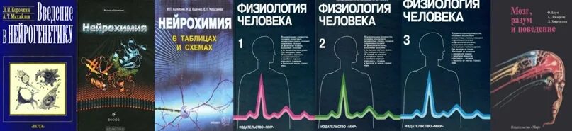 Физиология человека. Шмидт физиология человека. Физиология человека с основами патофизиологии Шмидт. Нейрохимия мозга книги.