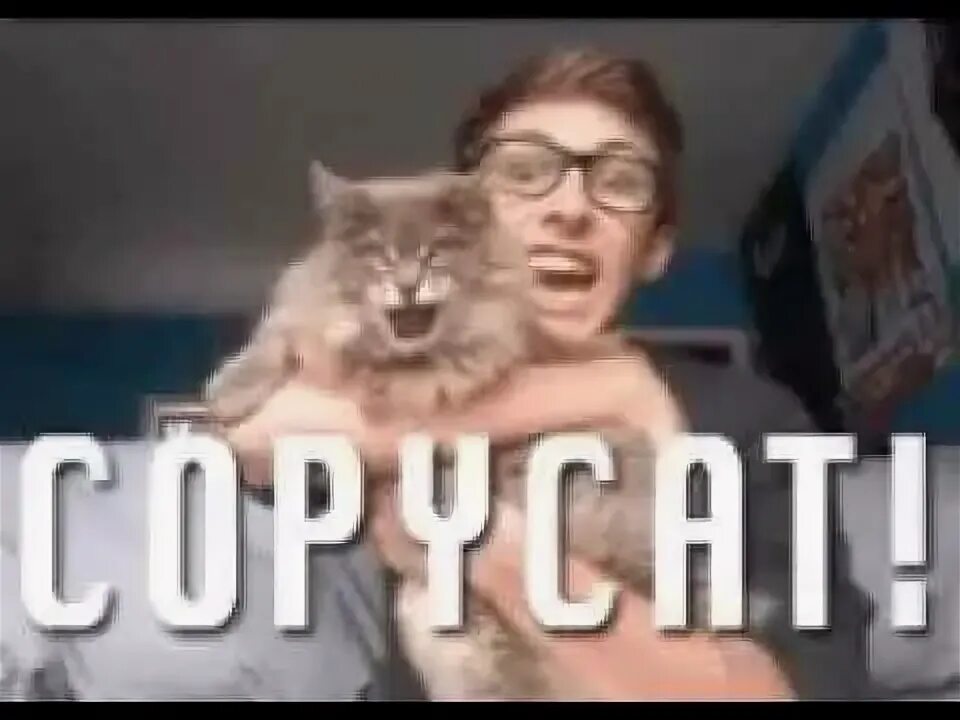 This is a copy of me. Copycat гиф. клонированная кошка copycat. copycat гиф белая кошка. vibe cat.