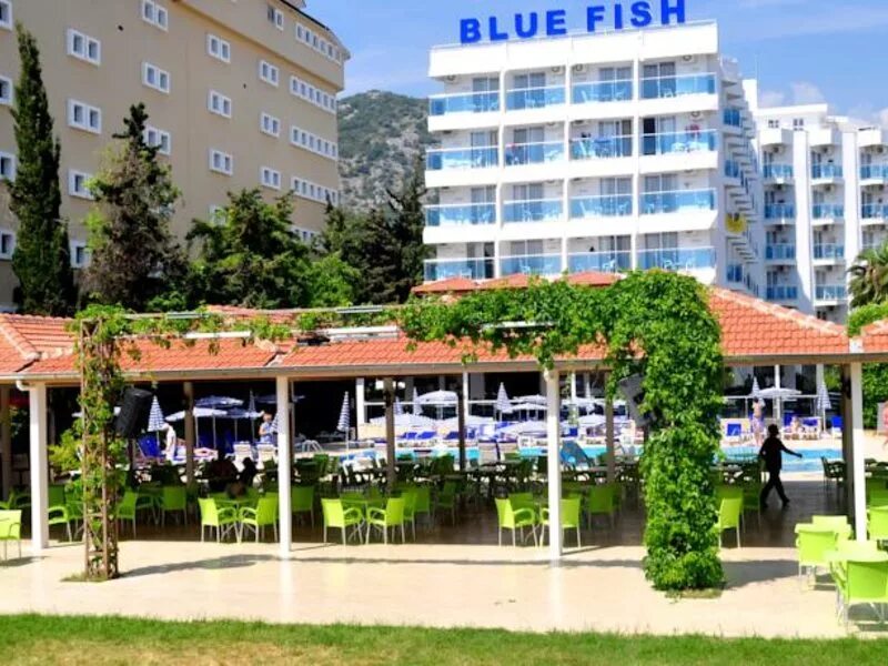 Blue fish hotel 4 фото. отель blue fish hotel 4. блю фиш отель турция аланья 4. Blue fish 4 конаклы аланья 100. Blue fish hotel 4 турция аланья.