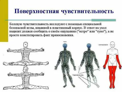 Поверхностная чувствительность