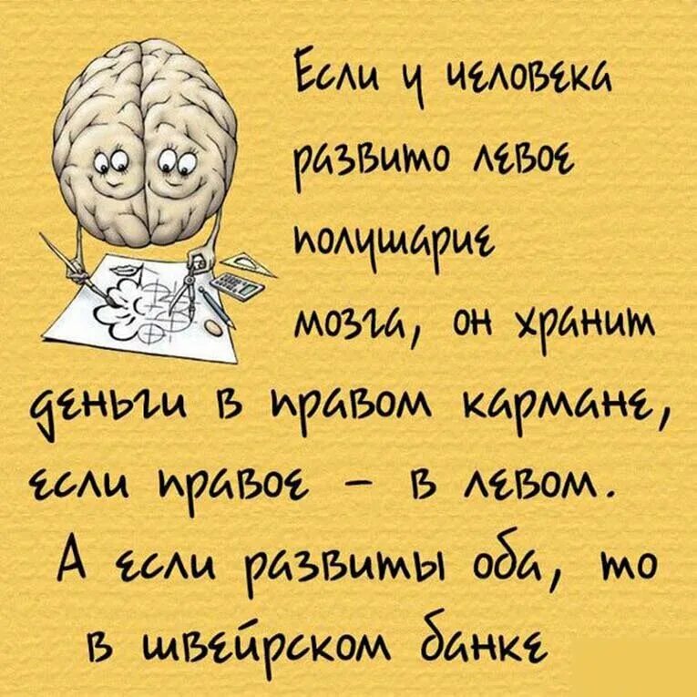 Необычный факт из жизни. Смешные факты. Интересные смешные факты. Интересные факты обо всем. Смешные факты обо всем.