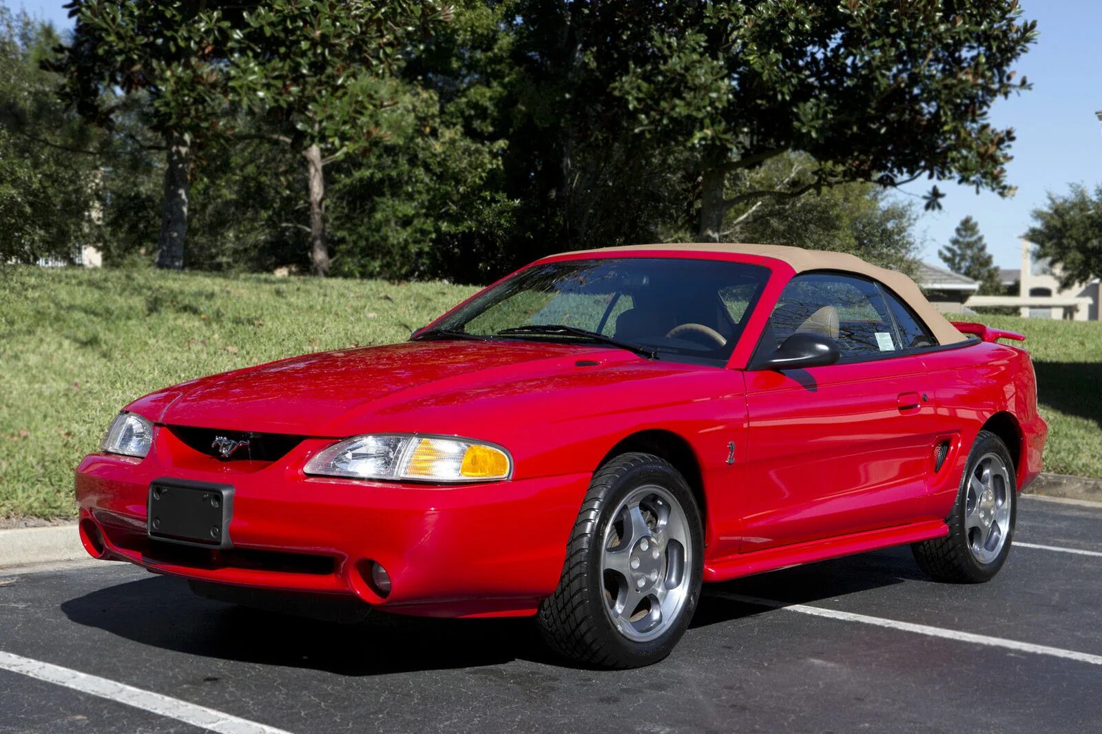 Mustang cobra. Ford Mustang 1994. Ford Mustang Cobra 1994. Ford Mustang SVT Cobra r 1993. Ford Mustang SVT Cobra 1994.