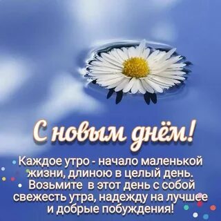 С добрым утром и днем надежды