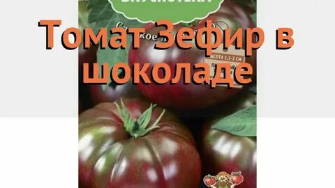 Сорт томатов зефир в шоколаде отзывы