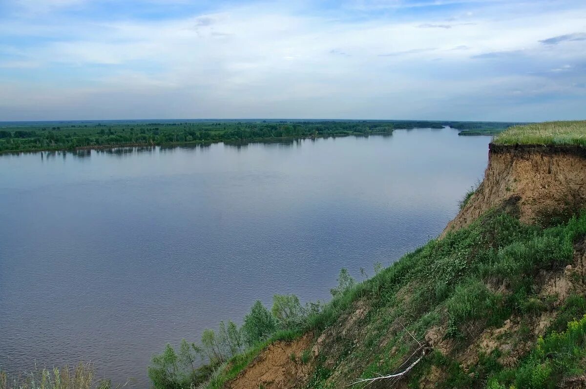 Река обь барнаул сегодня