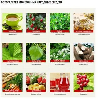 Мочегонные средства без вреда для здоровья