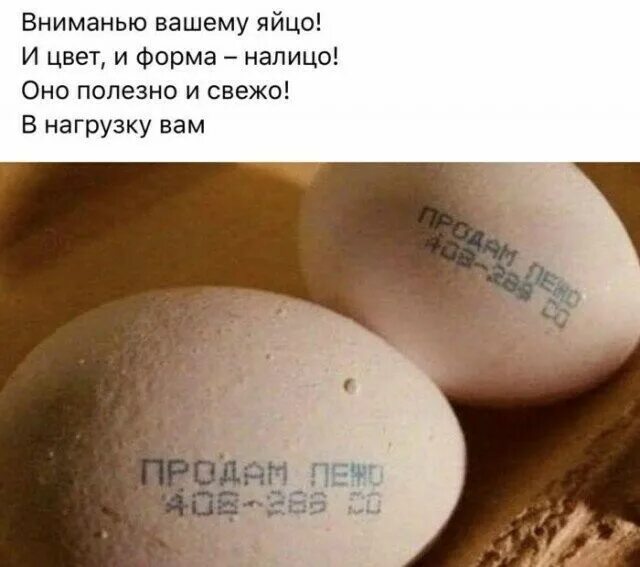 Смешные шутки про в рифму. Прикольные рифмы. приколы в рифму. прикольные шутки рифмы. фразы в рифму.
