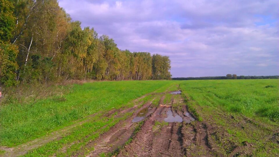 Погода недели калужский область жуковский район