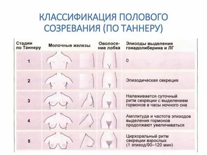 Потом половый